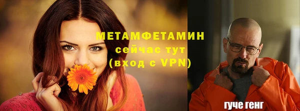 ешки Вяземский
