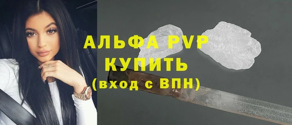 дживик Надым