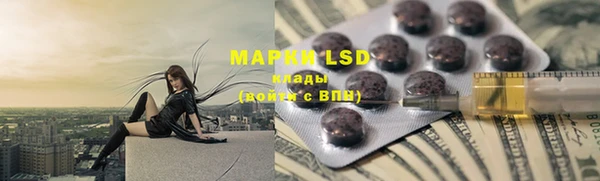 ешки Вяземский