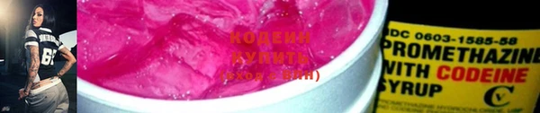 ешки Вяземский