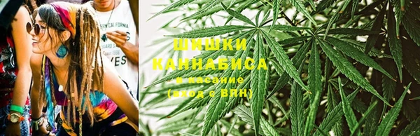 сатива Вязники