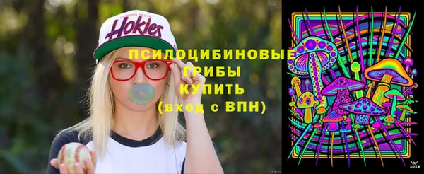 сатива Вязники