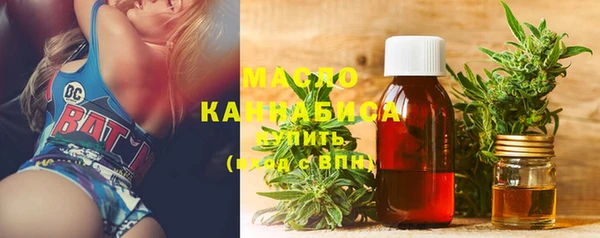 амф Горняк