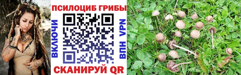 Псилоцибиновые грибы ЛСД OMG как зайти Мценск